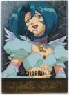 hacksign-cm1-tc-02a.jpg